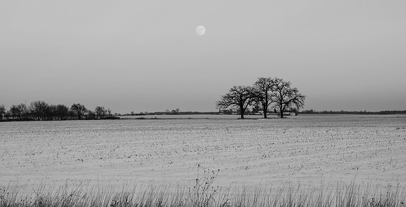 Farm